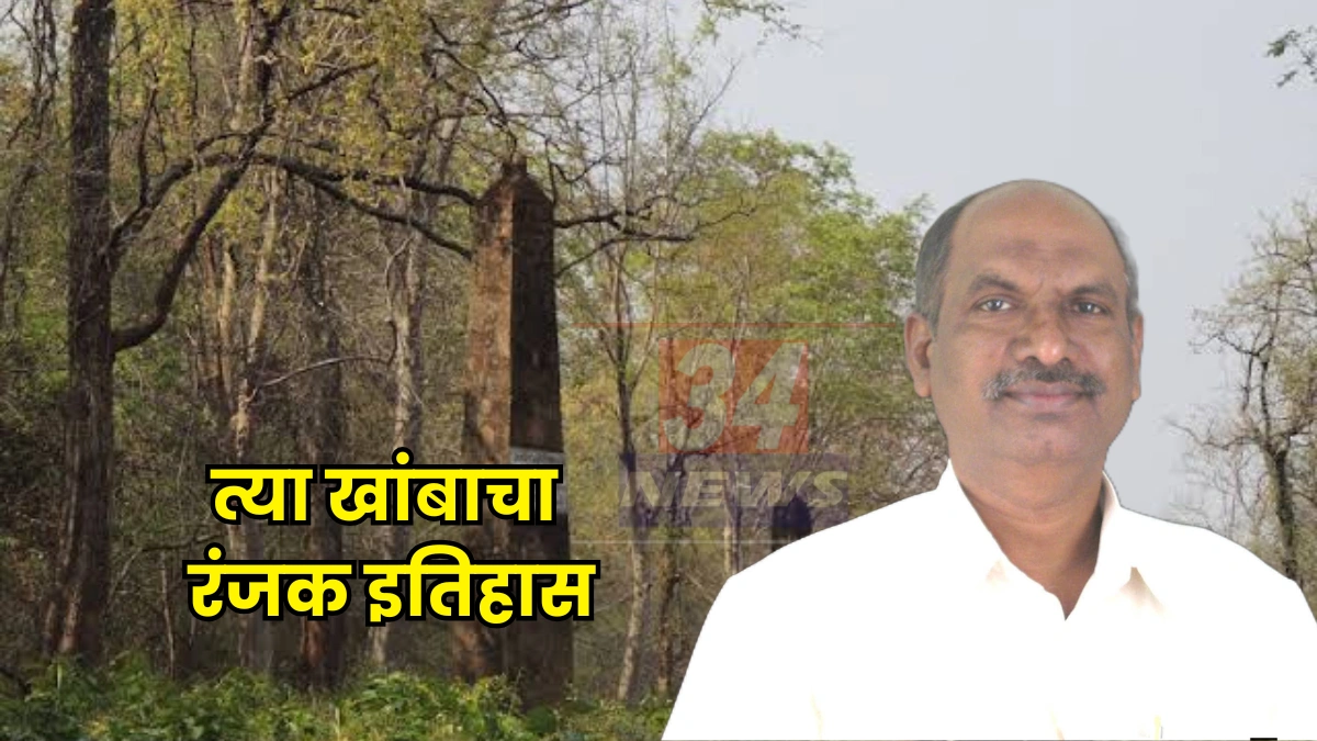 Tadoba । ताडोबाच्या दाट जंगलात लपलंय भोसले राजांच्या पराक्रमाचं गुपित; १५ फुटी खांबांचा असा आहे रंजक इतिहास