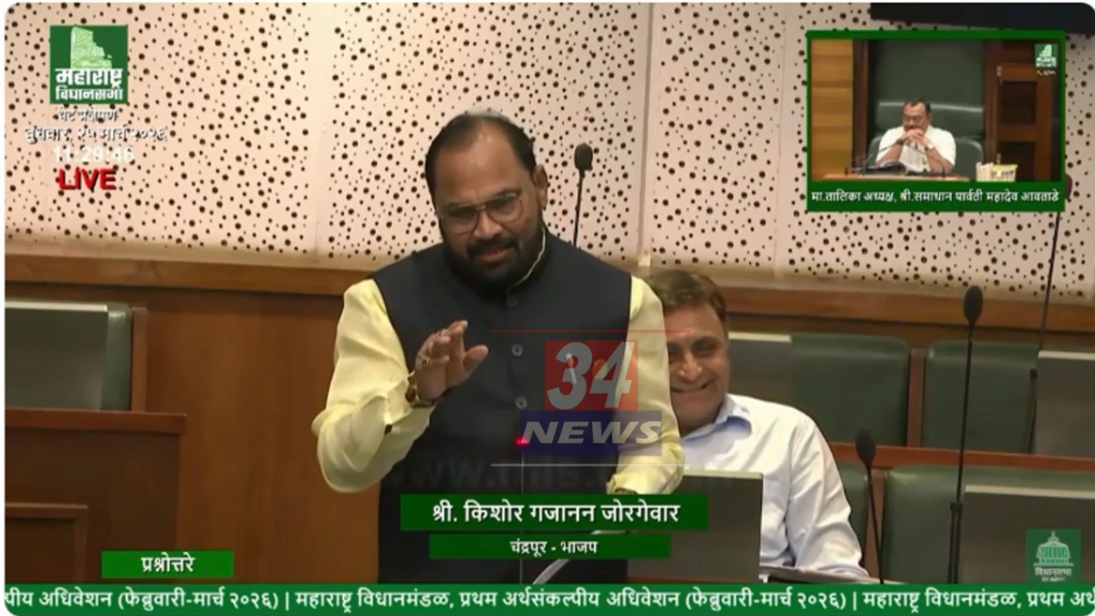 Chandrapur Tiger Safari । चंद्रपुरात येणार कांगारू आणि जग्वार! ५०० एकरातील 'टायगर सफारी' प्रकल्पाचा मार्ग मोकळा