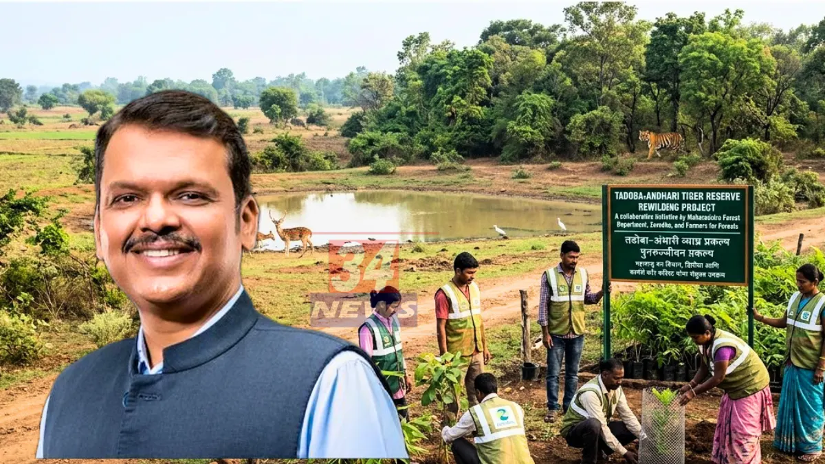 Tadoba National Park । मुख्यमंत्री देवेंद्र फडणवीस यांच्या पुढाकाराने ताडोबात नवा इतिहास; काय आहे 'झिरोधा'चा प्लॅन?