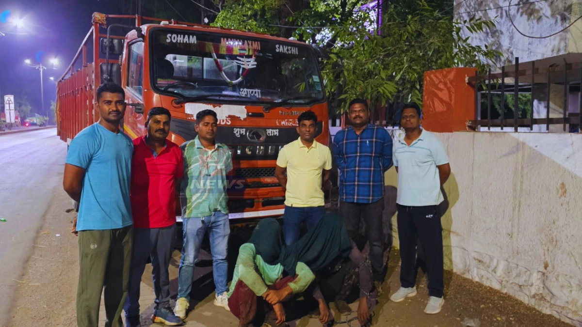 Cattle Smuggling Chandrapur | धक्कादायक! चंद्रपुरात ३० गायी कत्तलीसाठी नेताना रंगेहाथ पकडले, २६ लाखांचा मुद्देमाल जप्त Image