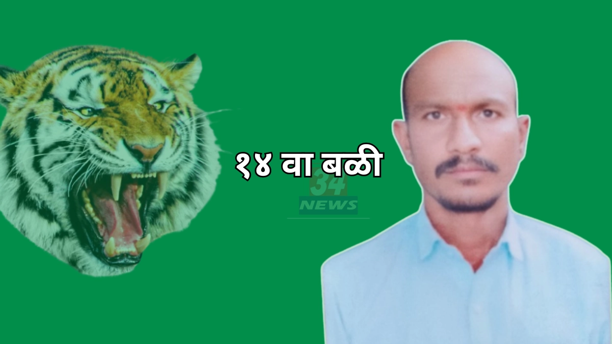 Chandrapur Zilla Parishad Earn and Learn Program । चंद्रपूरमध्ये विद्यार्थ्यांसाठी सुवर्णसंधी! ‘कमवा व शिका’ योजनेतून बीबीए व इंटर्नशिप एकत्र Chandrapur Zilla Parishad Earn and Learn Program । चंद्रपूरमध्ये विद्यार्थ्यांसाठी सुवर्णसंधी! ‘कमवा व शिका’ योजनेतून बीबीए व इंटर्नशिप एकत्र