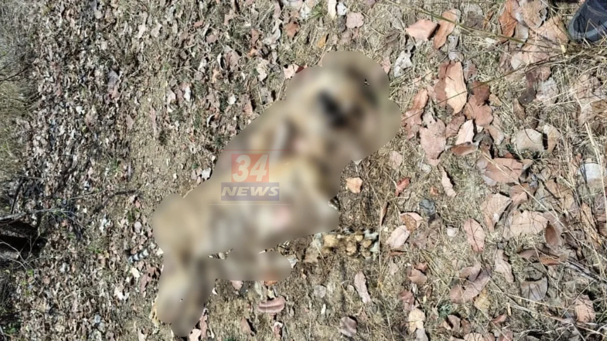 Bharat Nagpal Murder चंद्रपुरात रेती व्यवसायाला गुन्हेगारीची लागण; भाजप नेत्याची रेतीघाटावर हत्या