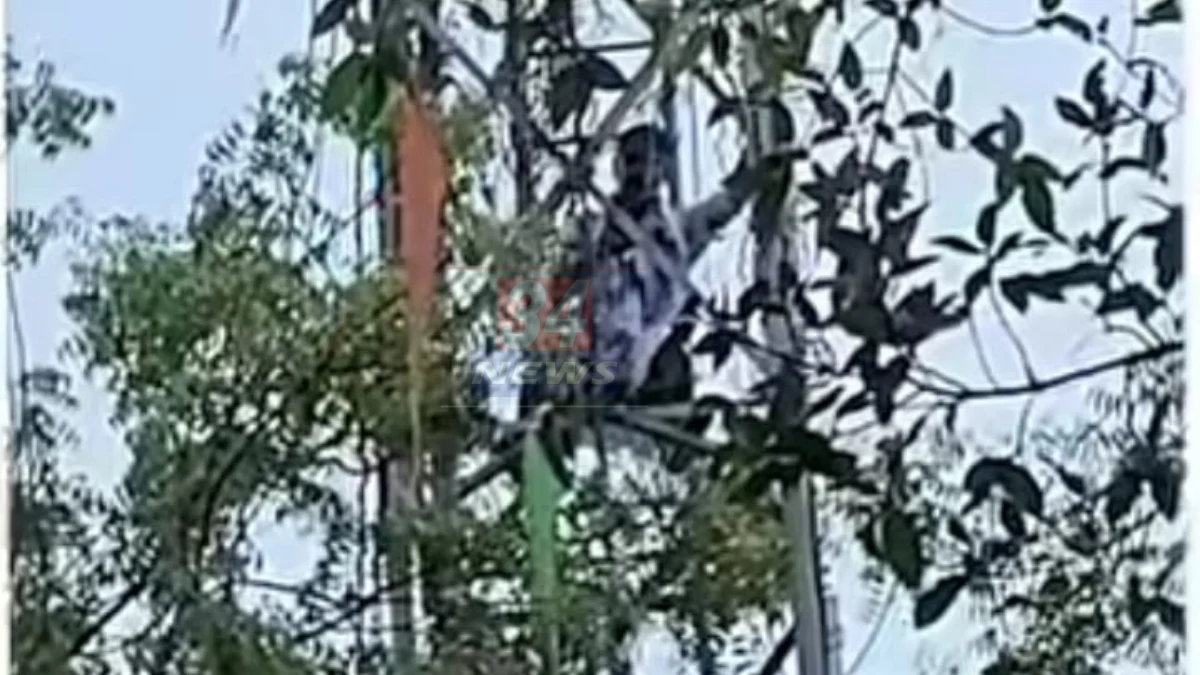 गोंडपिपरी किरमिरी-भंगाराम तळोधी हायवेवर झालेल्या अपघाताचे ठिकाण, Gondpipri hit and run हिट अँड रन: किरमिरी हायवेवर पिकअप चालकाने युवकाला उडवले, अपघातानंतर पळ काढला