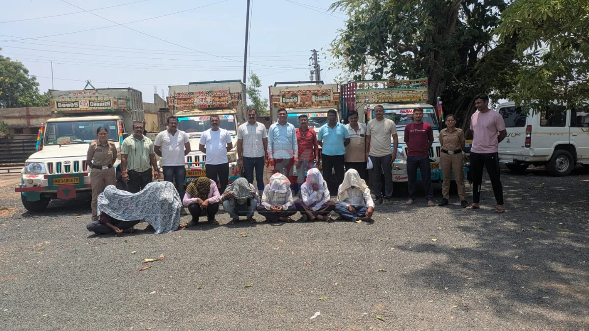 चंद्रपूर स्थानिक गुन्हे शाखेने जांभूळघाट येथे Chandrapur cattle rescue कारवाईत १२ गोवंश मुक्त केले व ४ पिकअप जप्त केल्या