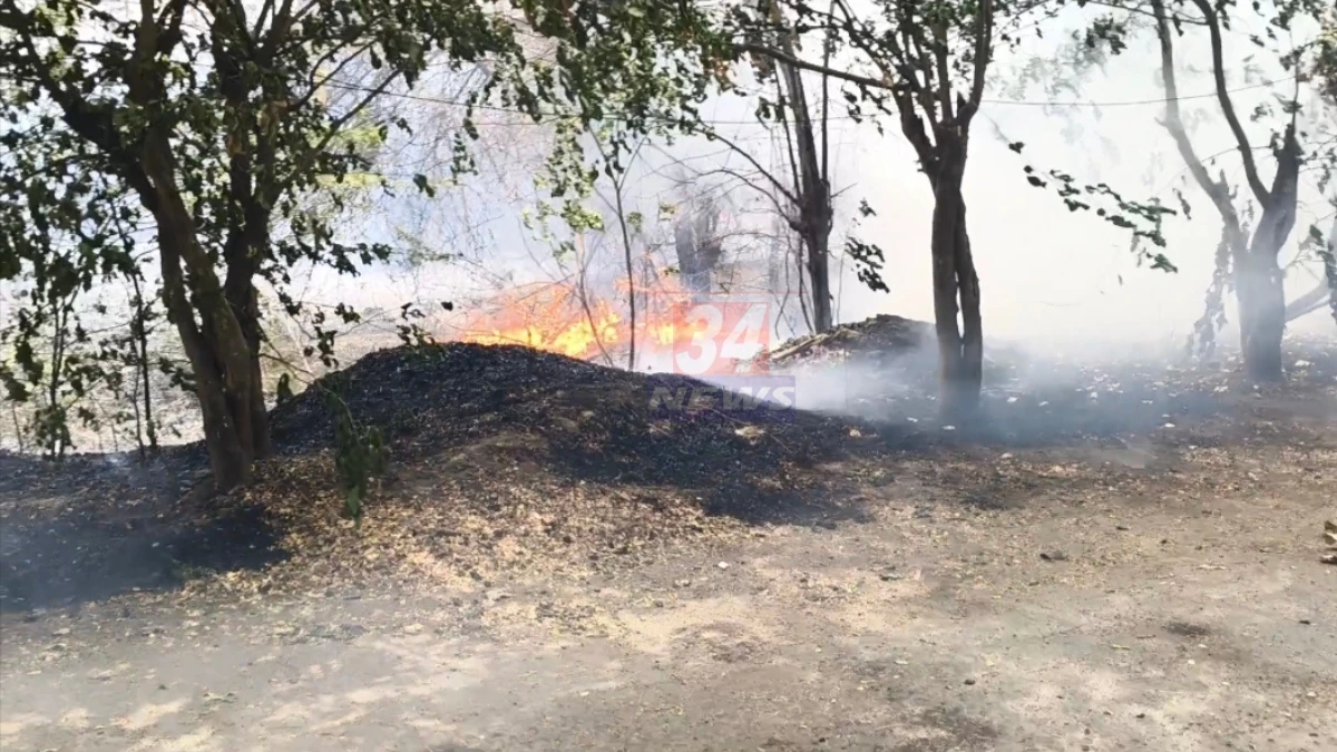 चंद्रपूरच्या गणेश नगरात दुपारी १२ वाजता कचऱ्याला लागलेली भीषण आग, उष्णतेच्या लाटेत नागरिक पाण्याने आग विझवताना